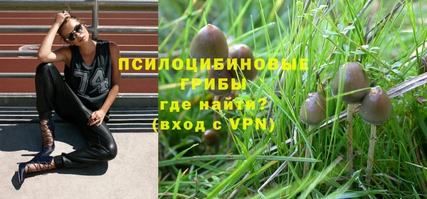мескалин Абаза