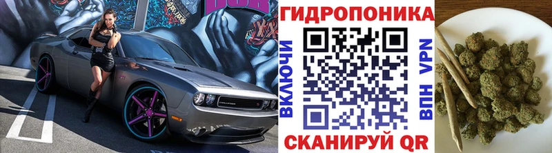 Бошки марихуана планчик  где продают   даркнет официальный сайт  Шахты  mega зеркало 